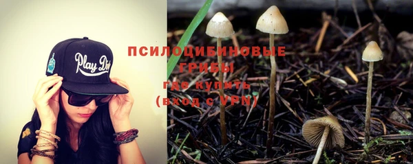 прущие крисы Горнозаводск