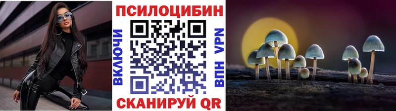 Купить где  Макаров  Галлюциногенные грибы прущие грибы 