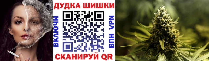 Купить закладки  Макаров  Бошки Шишки ГИДРОПОН 
